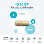 XYMOGEN IG 26 DF - Dairy-Free Immunoglobulin Capsules for Intestinal & Immune System Support - Hyperimmune Egg-Derived Immunoglobulins - 120 Capsules