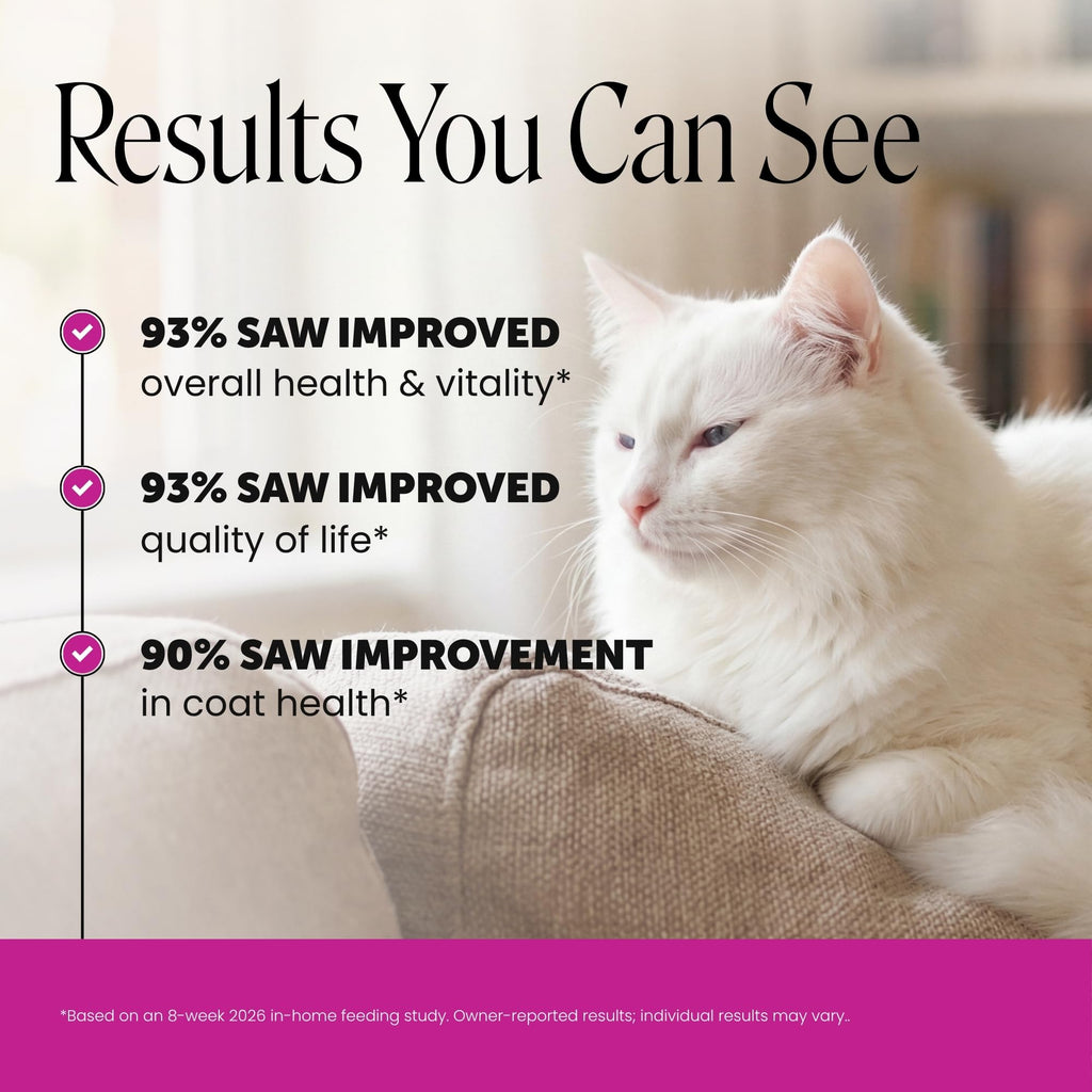 Pet Honesty Cat Multivitamin, Cat Treats Alternative, Chicken 30-Day Supply