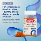 Jarrow Formulas® Theanine 100 mg Gummies, Dietary Supplement That Promotes Calmness, 60 Apple-Flavored Gummies, 60 Day Supply