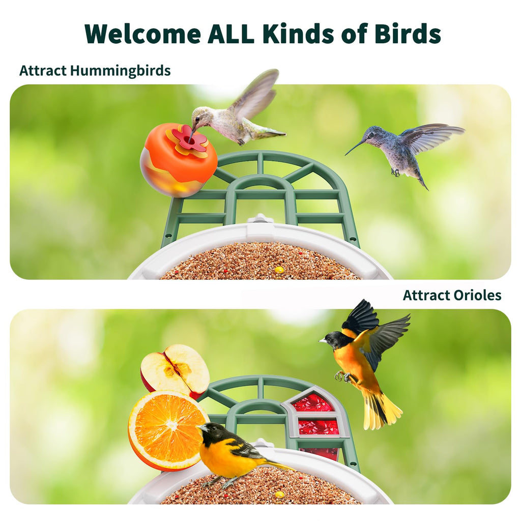 HARYMOR Smart Bird Feeder with Camera - AI Identify Birds Species, Solar Powered Bird House with Cam, 2L Large Capacity, 2K HD Video Live Stream, Instant Arrival Alerts - Green
