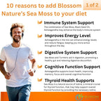 10-in-1 Irish Sea Moss Veggie Caps 3000mg Black Seed Oil Ashwagandha Bladderwrack Burdock Turmeric Apple Cider Vinegar Manuka Honey Dandelion Black Pepper - Made in US(Veggie Caps, Unflavored)