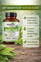 Naturfi Organic- Insulin Plant Capsules (Costus Igneus), USDA Organic | 100% Natural Supplement, 90 Veggie Caps (1 Month Supply) - Insulin Plant