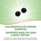 Nature's Way Chlorofresh Chlorophyll Gummies, Supports Healthy Skin and Body Detox*, Internal Deodorant*, Orchard Fruit Flavored, 60 Gummies, (Pack of 2)