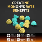 Nutravita NSF Certified Creatine Gummy - Creatine Monohydrate Gummies for Men & Women-5g of Creatine Monohydrate per Serving - Sugar Free,Vegan,Blueberry Pineapple Flavor, 120 Count