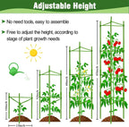 Yongblus 63Inch Tomato Cage for Garden, 4Pack Plant Support Garden Stakes