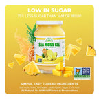 EverSmith Organics - Wildcrafted Irish Sea Moss Gel | Made in USA | Rich in Vitamins & Minerals | Sea Moss Gel Raw | Nutritional Supplement | Pineapple (16 oz)
