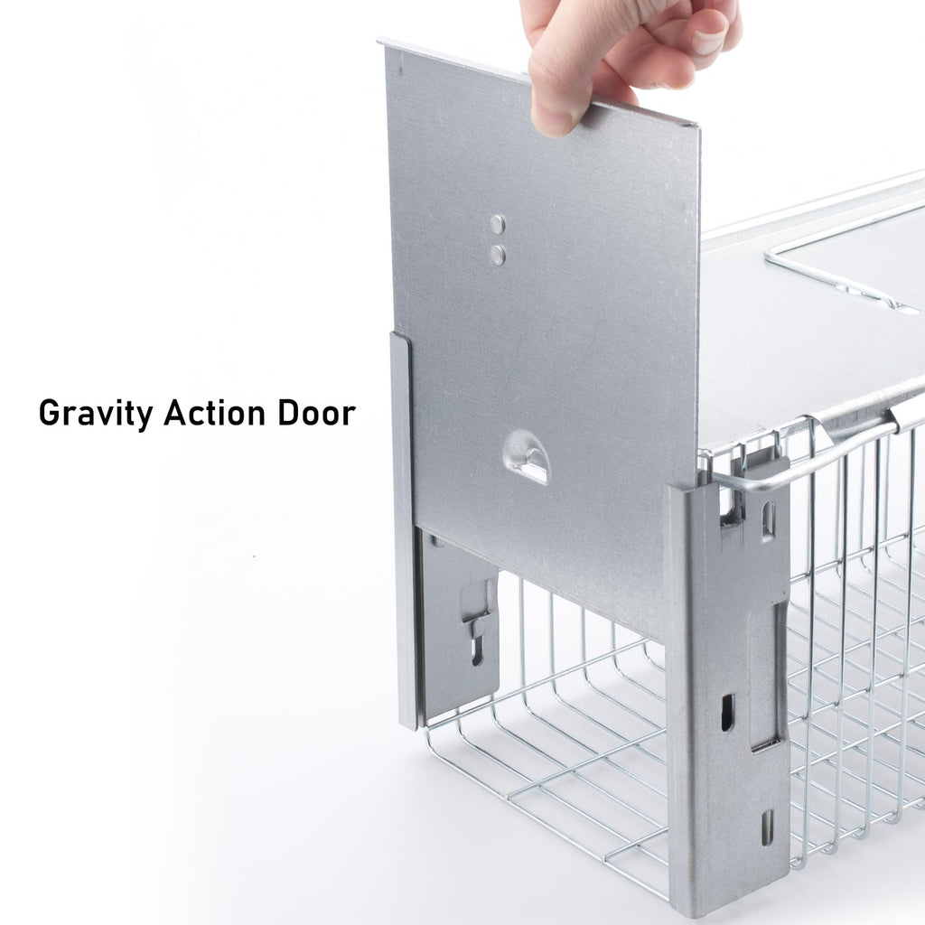 Faicuk Heavy Duty Squirrel Trap Chipmunk Trap Rat Trap and Other Similar-Size Rodents - 16.3” x 6” x 6.7”
