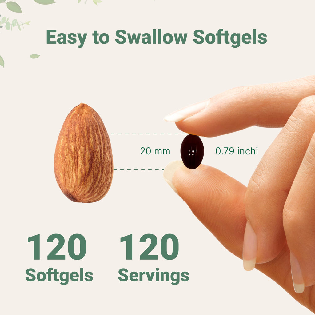 Micro Ingredients Astaxanthin 12mg with MCT Oil, 120 Softgels, 4 Month Supply | Premium Astaxanthin Antioxidant Supplements* | Fresh Microalgae Source | Triple Strength, Non-GMO, Gluten Free, No Soy