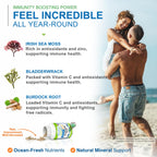 Power By Naturals SeaMoss Plus - USDA Organic Irish Sea Moss Capsules w/Wild Harvested Irish Seamoss, Bladderwrack & Burdock Root Immunity Supplement Sea Moss Pills for Adult 60Ct - 1 Pack