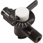 Pentair R172060 1/4-Inch NPT Control Valve Replacement Rainbow Automatic Chlorine/Bromine Pool and Spa Feeder