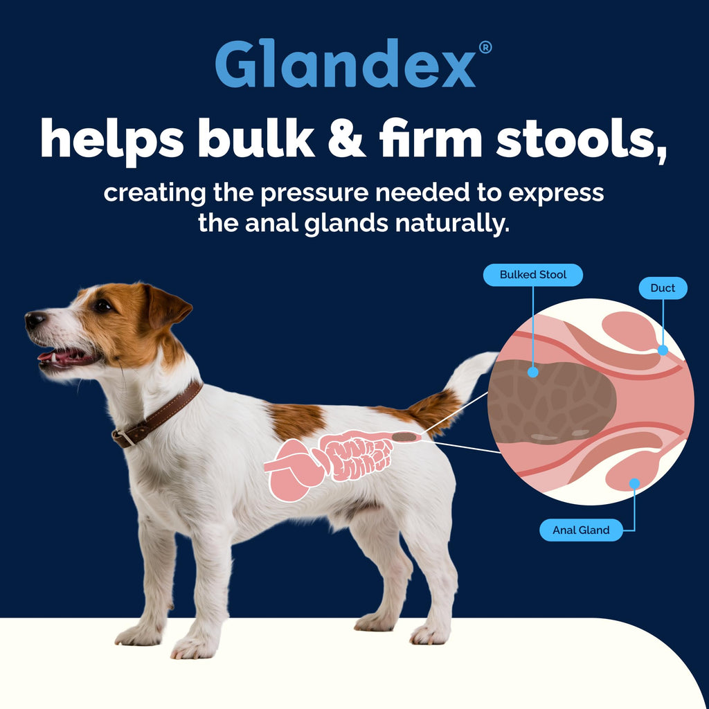 Vetnique Glandex for Dogs Anal Gland Chews 60ct Pumpkin + Digestive Enzymes