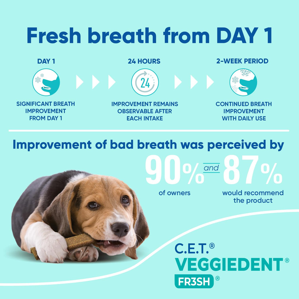 C.E.T. Veggiedent Fr3sh Plaque and Tartar Control Chews for Dogs, Large