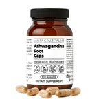 Santa Cruz Paleo, Ashwagandha Root with BioPerine, Herbal Supplement for Focus, Stress Support Adaptogen for Men and Women, Gluten Free, Vegetarian, Keto Friendly, 600MG Capsules, 60 Count
