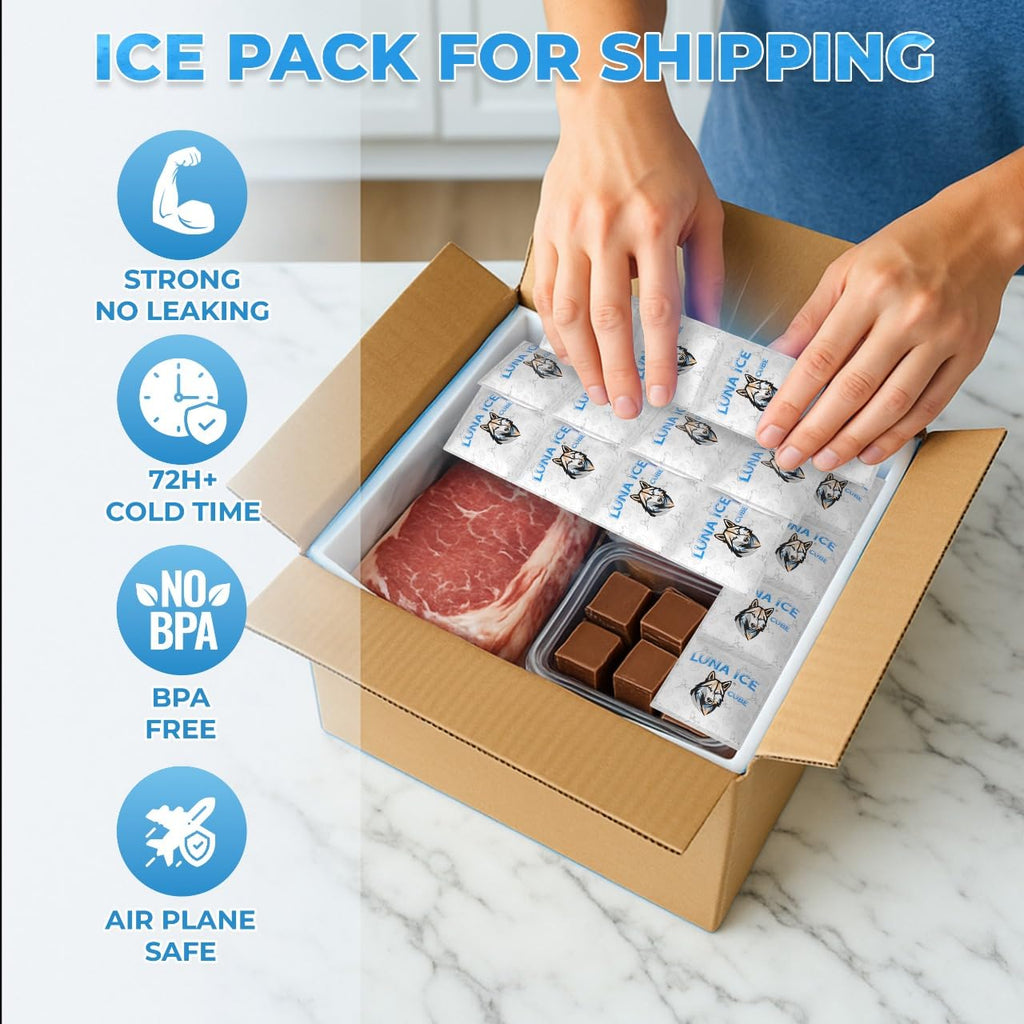 Dry Ice Packs for Shipping Cubes - Long Lasting ice Packs - 24+ Hour Freeze Power - BPA Free - 1200 Pack Bulk 75 lb – Hielo Seco - Reusable Gel Bricks for Food