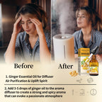 12 Pack Ginger Oil,Ginger Oil for Lymphatic Drainage,Pure Ginger Essential Oil,Relaxing Massage Oils for Massage Therapy,SPA Massage Oils,Sore Muscle Arnica Oil for Men and Women