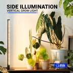 Barrina T10 Standing Grow Light for Indoor Plants, 20W 2FT, Full Spectrum