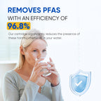 PUREPLUS NSF/ANSI 401, 53, 42 & NSF P473 Certified Replacement for HDX FMG-1, PL-100, WFC1201, PC75009, RWF1060, RWF0600A, 469991 Refrigerator Cartridge,1Pack