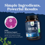 DHEA Supplement for Women & Men - DHEA 25mg per Serving for Hormone Balance, Mood Stability, Brain Function, Immune System & Energy - Dehydroepiandrosterone Capsules for Adults - 120 Count