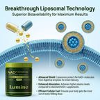 Louma Lumine Organics NAD+ Supplement with Resveratrol and Quercetin - Liposomal Delivery Capsules Daily, Vitality Support, 60 Capsules.