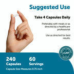 Micro Ingredients TMG 2000mg, 240 Capsules | Double Strength Betaine Anhydrous Trimethylglycine* | Non-GMO, Gluten Free