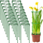 36Packs Plant Support Stake Half Round Plant Support for Indoor Plants, Stackable 3 Tier Garden Flower Support, Plant Rings for Tomato,Monstera, Peony, Hydrangea, Climbing Plants