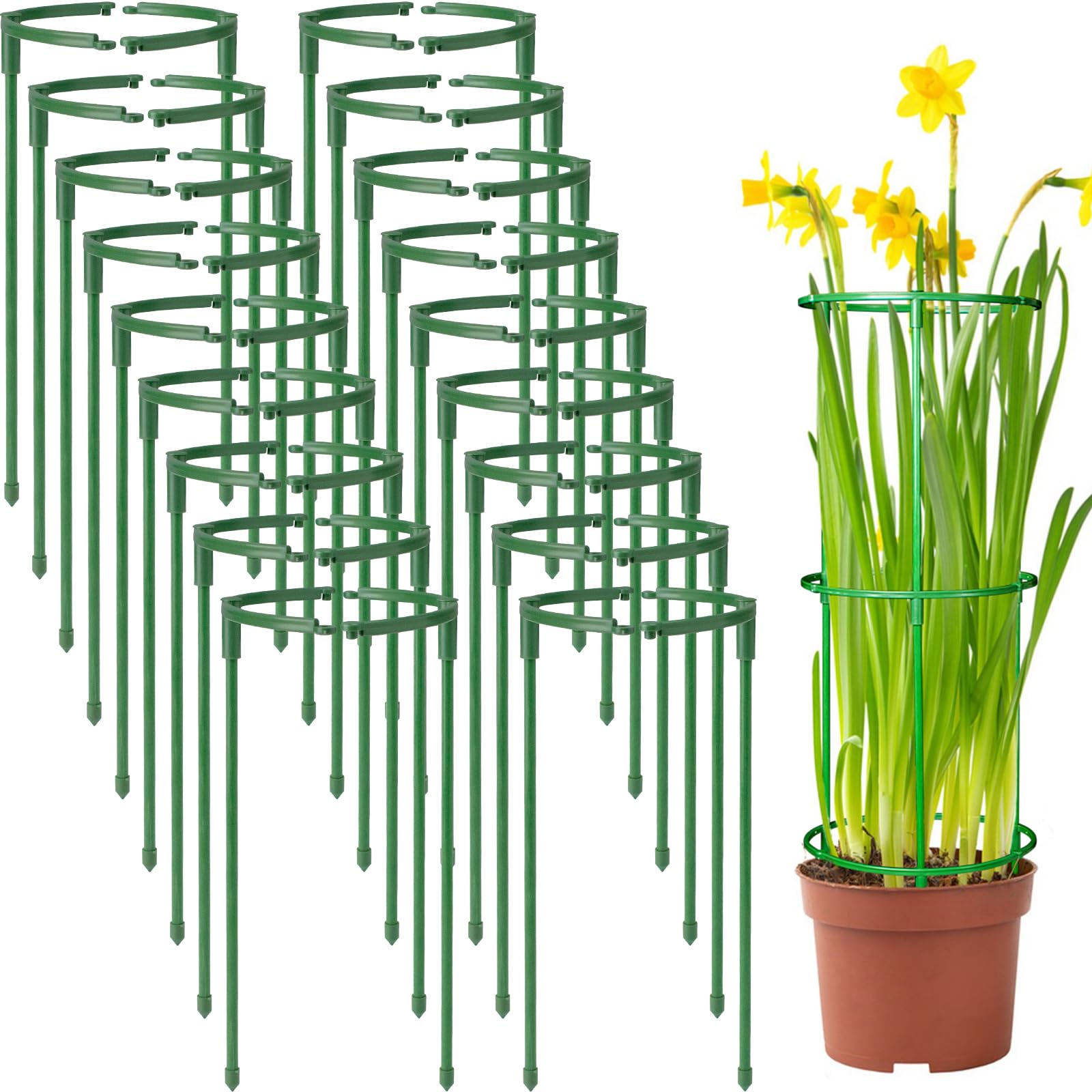36Packs Plant Support Stake Half Round Plant Support for Indoor Plants, Stackable 3 Tier Garden Flower Support, Plant Rings for Tomato,Monstera, Peony, Hydrangea, Climbing Plants
