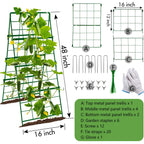 Heavy Duty Cucumber Trellis Thickened for Raised Garden Bed,48"x16" Foldable Frame Metal Vegetable Trellis for Climbing Plants Outdoor Plant Support for Grape Tomato Peas, Fruit, Vine,Bean(1 Pack)