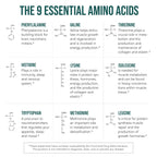 Plant Aminos Organic Essential Amino Acid Supplement (EAAs) & BCAA - 100% Plant-Based Raw, Vegan - All 9 Essential Amino Acids with 18 Total Amino Acids (360 Tablets)