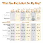 Amazon Basics Leak-Proof Dog and Puppy Potty Training Pee Pads with Quick-Dry 5-Layer Surface, Standard Absorbency, Giant Size, 27.5 x 44 Inch, Blue & White, 40-Pack