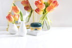 Kneipp Healthy Feet Foot Repair, Calendula Orange , 3.38 fl. oz.