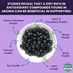 Akronia Valley Aronia Berry Gummies | 45 Vegetarian Gummies | Pack of 1 | Immune Support, for Health and Wellness, Delicious Aronia Flavor
