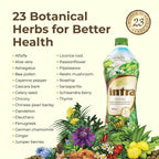 Intra Lifestyles Herbal Juice Drink – Botanical Beverage for Immune and Energy Support – 23 Botanical Extracts – Made in Canada Trio Pack (950 mL /32 fl oz each)