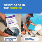 FROG 90-Day Algae Barrier - Dry Formula Algaecide Prevents Black, Green and Yellow Algae for Pools up to 30,000 Gallons - Pool Maintenance & Algae Prevention - 3 Pods