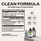 Vimergy USDA Organic Lemon Balm Tincture Herbal Supplement – Can be Used in Tea - Non-GMO, Alcohol-Free – 240 mL (1 mL/Serving)