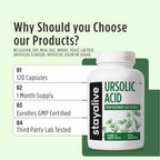 STAY ALIVE Ursolic Acid Supplement for Men & Women 300mg, 120 Pills, Rosemary Leaf Extract Powder, Non-GMO and Gluten-Free Pure Ursolic Acid Capsules
