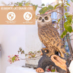 Owl Garden Statue Outdoor, Resin Outdoor Owl Statue, Owl Decoy Yard Decor