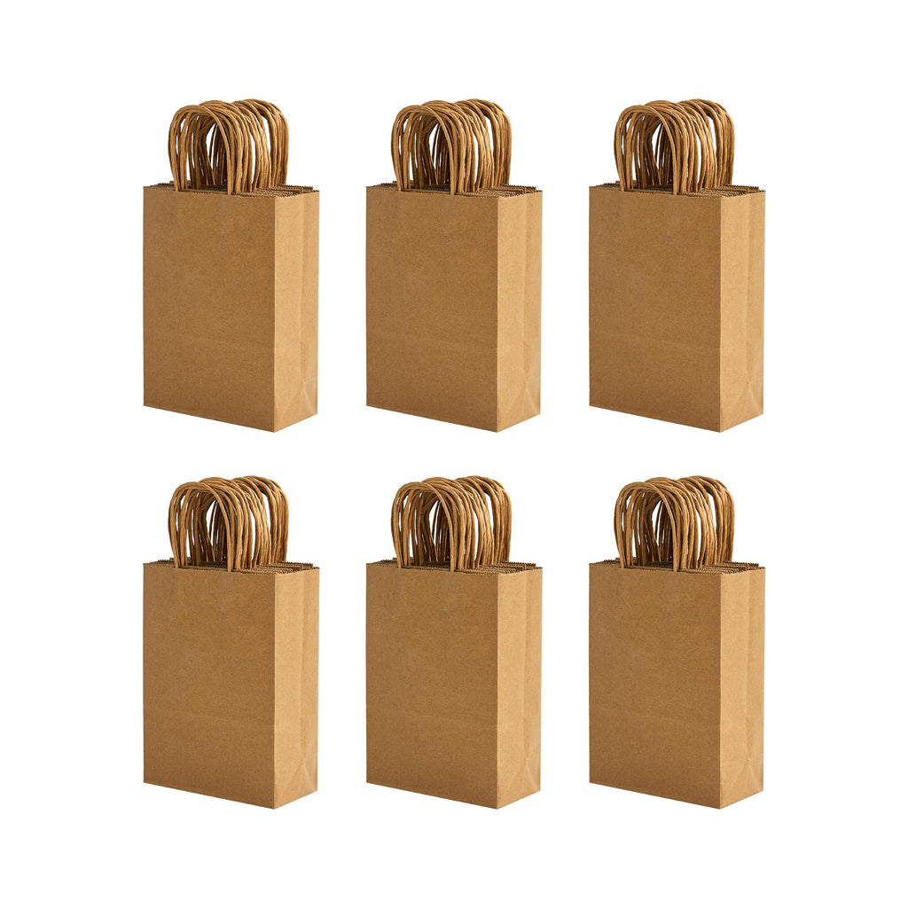 RACETOP Small Brown Kraft Paper Bags 100 Pack 5.8x3.2x8.25 in with Handles