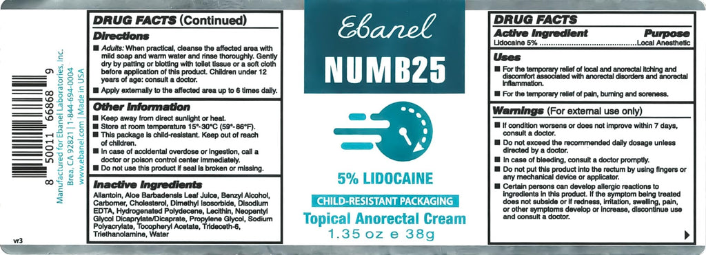 Ebanel 5% Lidocaine Numbing Cream, Pain Relief Cream Burn Itch Cream, 2-Pack Topical Anesthetic Lidocaine Cream Maximum Strength with Vitamin E for Local and Anorectal Uses, Hemorrhoid Treatment