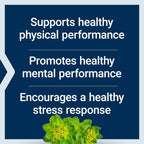 Life Extension Rhodiola Extract, Rhodiola rosea Supplement, standardized Extract, Promotes Physical and Mental Performance, Gluten-Free, Non-GMO, Vegetarian, 250 mg, 60 Capsules, (Pack of 2)