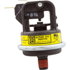 Hayward FDXLWPS1930 Water Pressure Switch Replacement for Hayward Universal H-Series Low Nox Pool Heater,Black