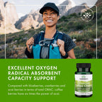 Swanson Full Spectrum Coffee Cherry - Antioxidant Support - Cognitive Supplement - Offers Cellular Protection with High ORAC* - Gluten Free & Non-GMO - 60 Veggie Capsules (2 Pack)
