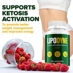 Lipodyne – Advanced Capsule Formula Supplement Pills 1000MG for Daily Health & Wellness Support (60 Capsules)