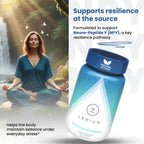 Levium Stress Supplement for Calm & Mood Support | Ashwagandha KSM-66, Magnesium, L-Theanine & GABA | Supports Mental Focus & Relaxation | Non-Habit Forming | 90 Capsules