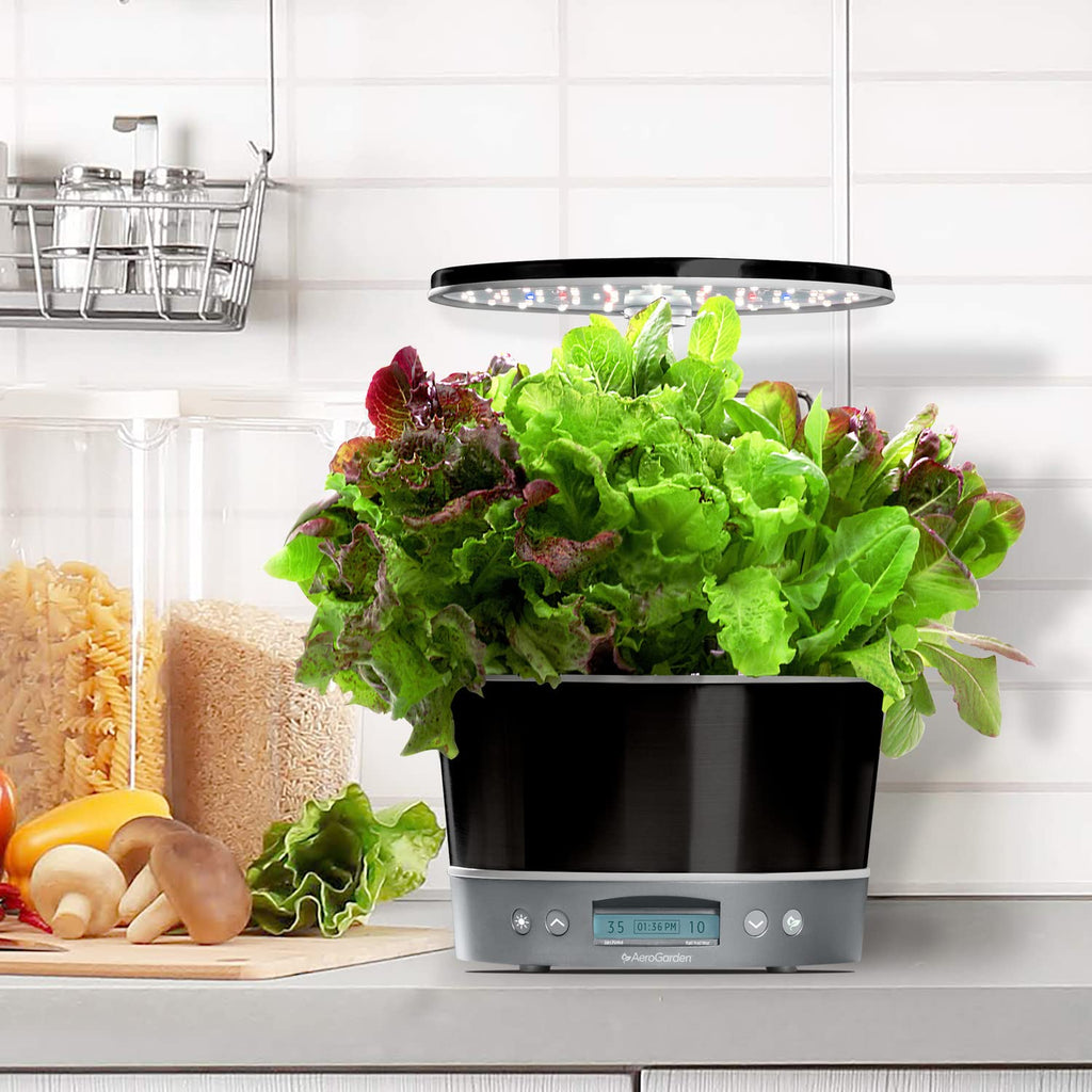 AeroGarden Harvest Elite 360, Platinum Stainless