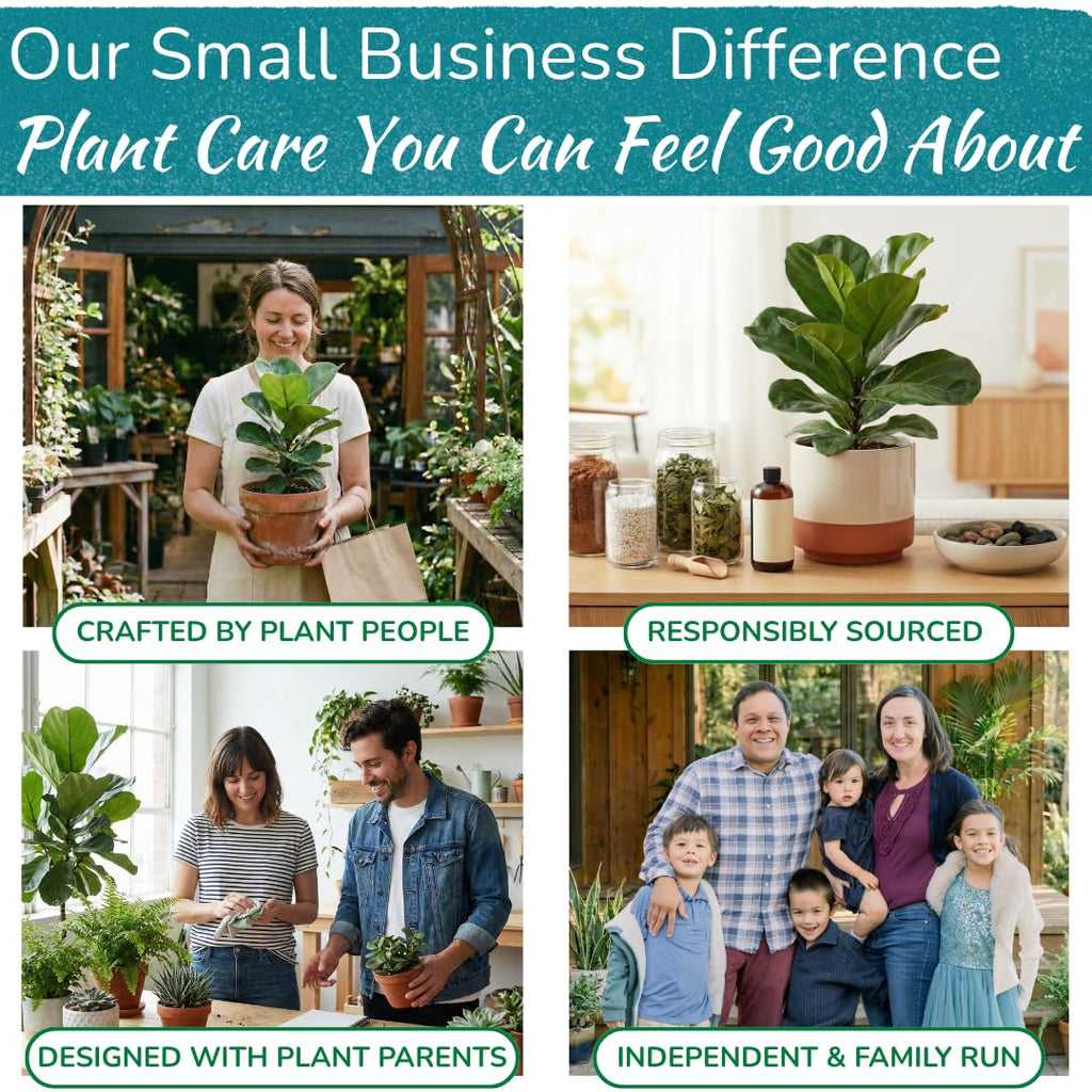 Fiddle Leaf Fig Health Meter, 3-in-1 Soil Moisture, Light & pH Testing Tool