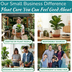 Fiddle Leaf Fig Health Meter, 3-in-1 Soil Moisture, Light & pH Testing Tool