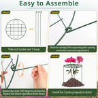 6 Pack 12 x 16 Inch Peony Cages and Supports for Outdoor Plants