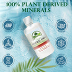 Organa Trace Minerals - Liquid Colloidal Minerals Supplements - Plant Derived for Maximum Absorption - Colloidal Minerals Liquid for Wellness - 32 Ounces