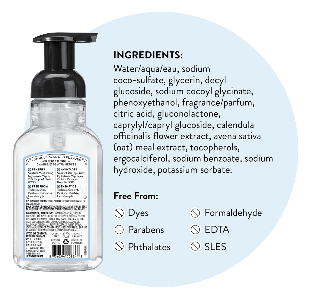 J.R. Watkins Foaming Hand Soap with Pump Dispenser, Moisturizing Foam Hand Wash, Alcohol-Free, Cruelty-Free, brise marine, 9 fl oz, 3 Pack