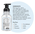 J.R. Watkins Foaming Hand Soap with Pump Dispenser, Moisturizing Foam Hand Wash, Alcohol-Free, Cruelty-Free, brise marine, 9 fl oz, 3 Pack